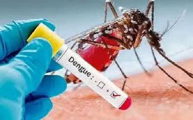 Dengue & Chikungunya Threat Looms Over Karnataka as Cases Rise Before Monsoon - News Karnataka