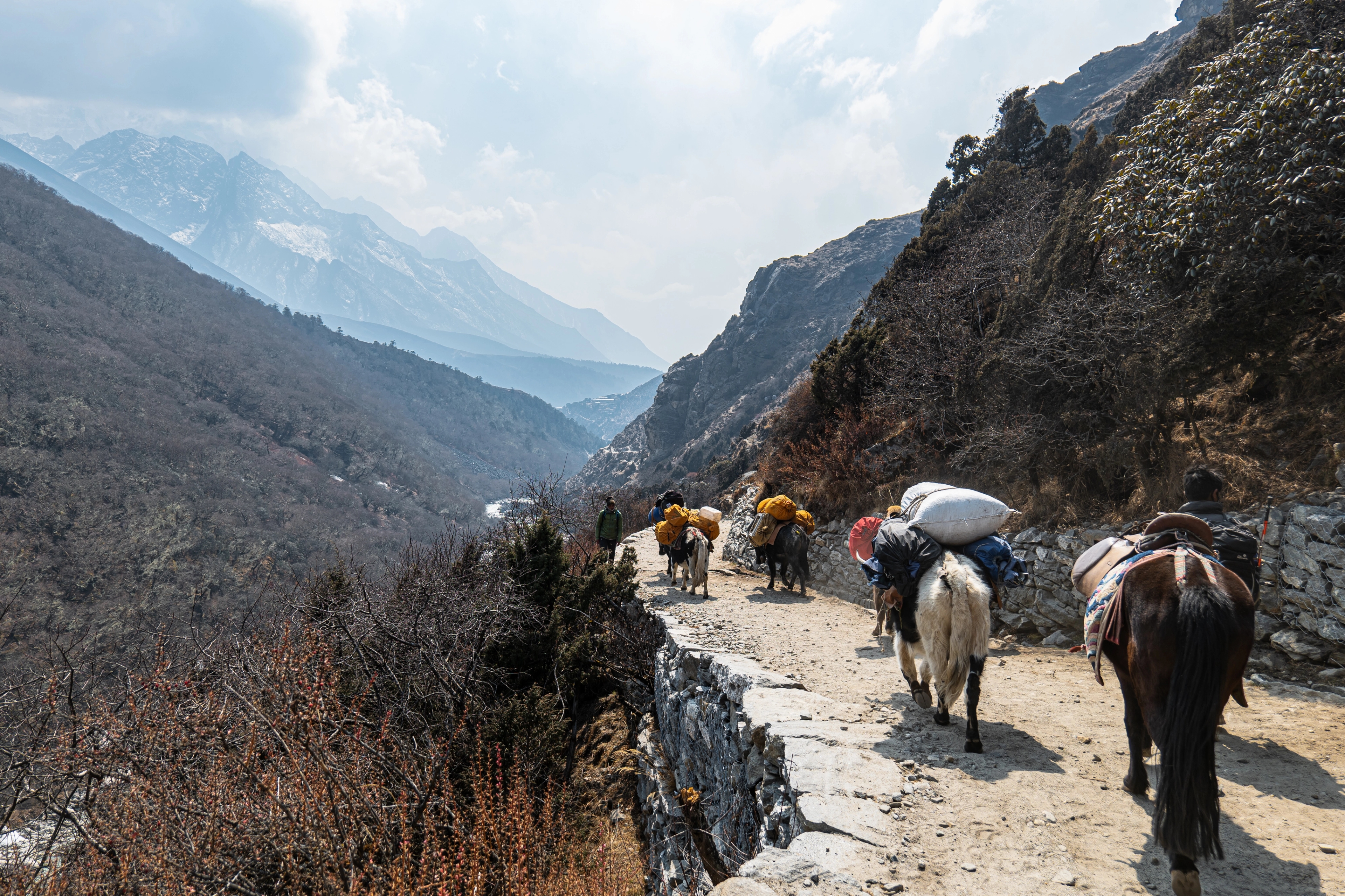 What Type of Jacket is Required for the Everest Base Camp Trek? - News Karnataka