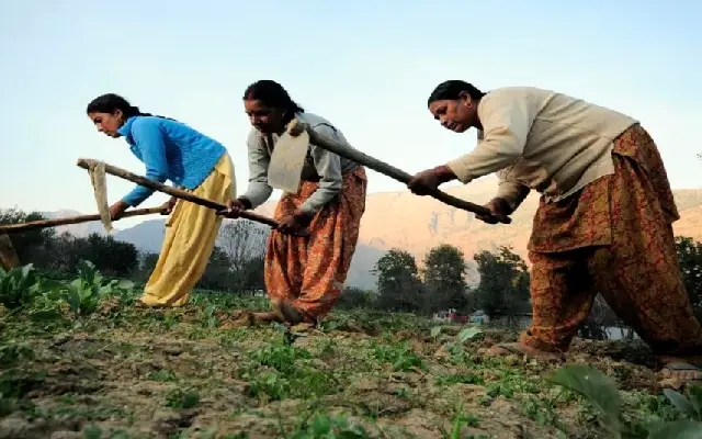 Farmers Erupt in Byndoor Over Botched Irrigation Plan, Demand Relocation of Jackwell - News Karnataka