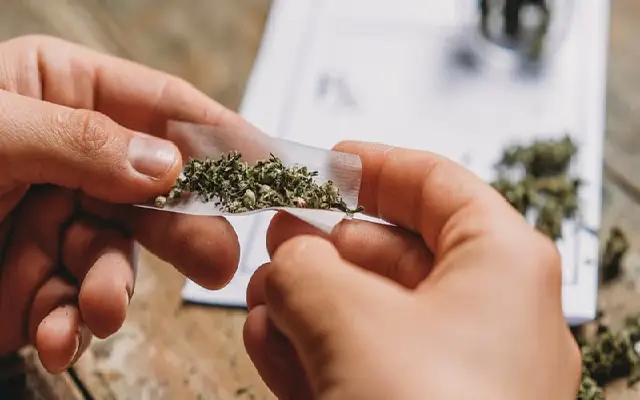 Odisha Man Nabbed in Kodagu for Attempting to Sell Ganja - News Karnataka