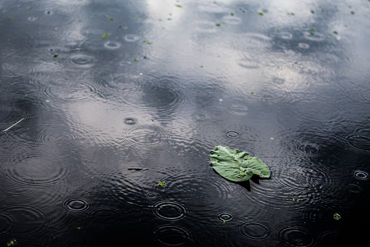 Heavy rain batters Bantwal, triggers disruptions and waterlogging - News Karnataka