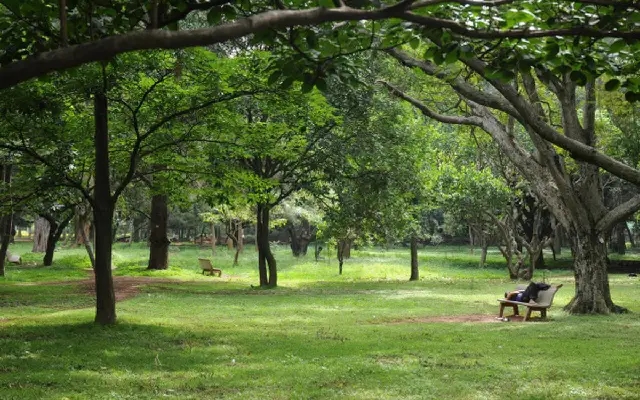 Citizens Rally to Save 100-Year-Old Green Cover in Bengaluru's Railway Colony - News Karnataka