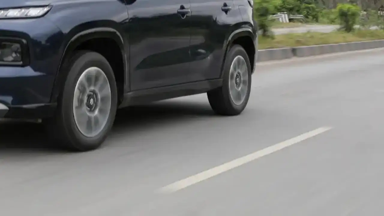 Speeding car kills 12 sheep, 2 dogs in Coimbatore; shepherd injured - News Karnataka