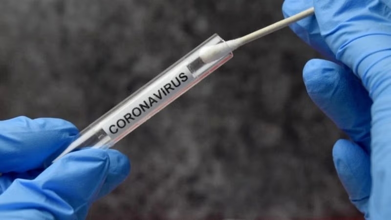 Karnataka reports 40 fresh Covid-19 infections, active cases rise to 126 - News Karnataka