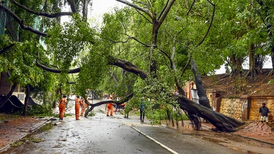 Kerala reels under heavy rain chaos; homes flooded, travel hit, power protests erupt - News Karnataka