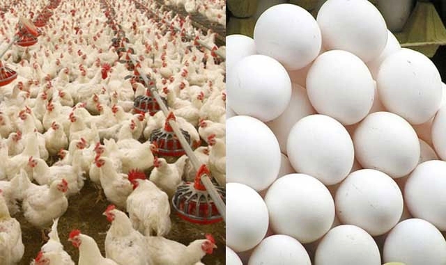 Mangaluru’s summer food twist: Eggs turn pricey, chicken gets cheaper - News Karnataka