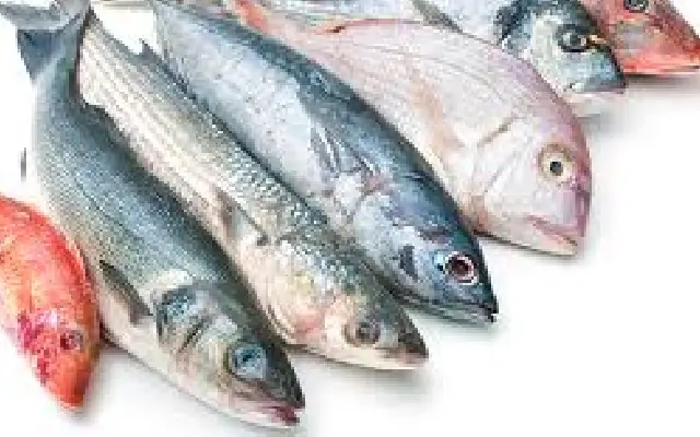 Minnesota Updates Fish Consumption Guidelines to Protect Public Health - News Karnataka