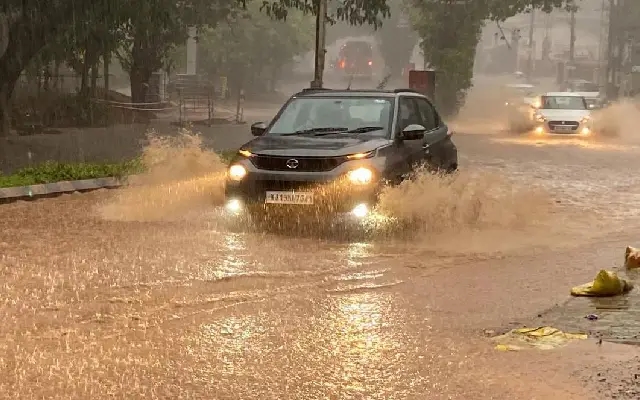 Monsoon Arrives with Fury: Heavy Rains Batter Mangaluru, Trees Uprooted - News Karnataka
