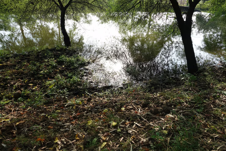 Relentless rains batter Udupi, topple trees and disrupt daily life - News Karnataka