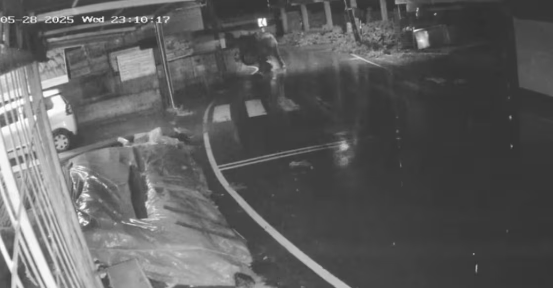 Three school kids narrowly escape wild elephant charge near school - News Karnataka