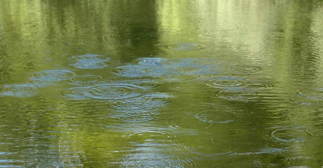 10-year-old drowns while fishing with brother - News Karnataka