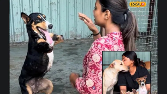From Medicine to Mutt Care: Gujarat Woman Ditches MBBS to Heal Voiceless Souls - News Karnataka