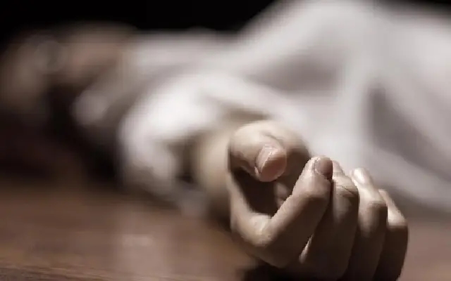 Wedding Joy Turns to Tragedy: Woman Killed in Road Mishap Near Pandit House - News Karnataka