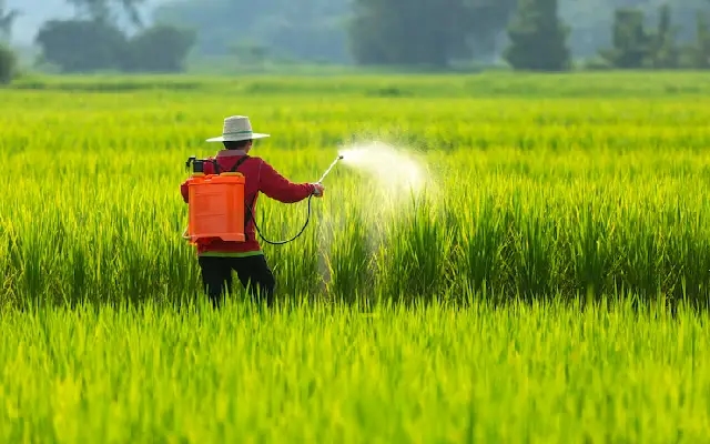 Fertiliser Rush in Haveri Amid Pre-Monsoon Showers; DAP Shortage Noted - News Karnataka