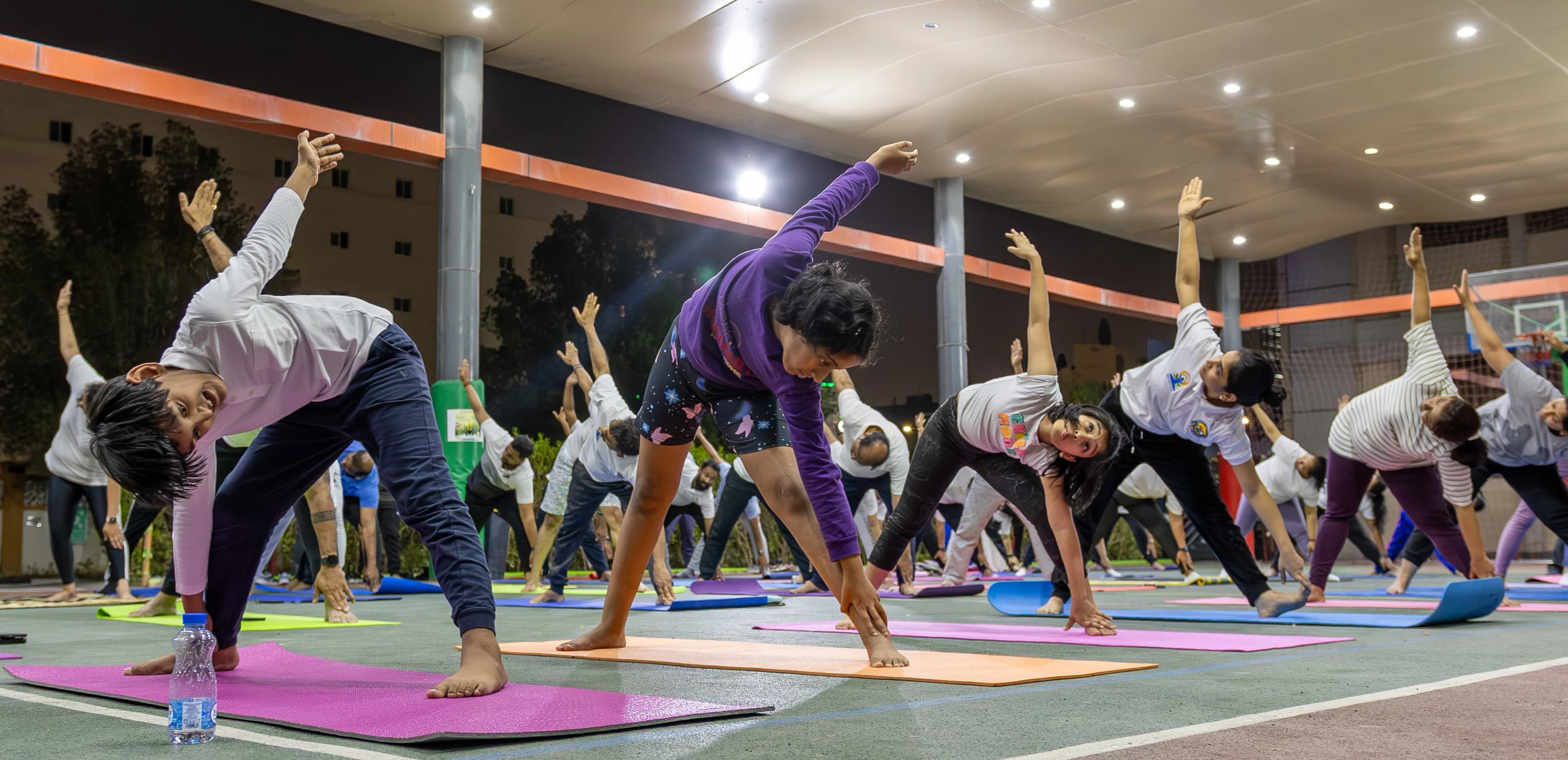 Gallery image 5