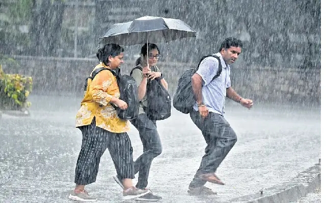 Brief Respite in Bengaluru Weather as More Rain Expected from June 4, Says IMD - News Karnataka