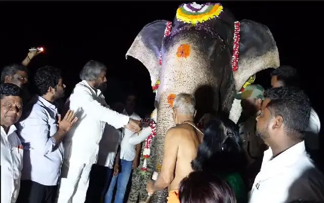 Tribute to a Tusker Hero: Arjuna’s Memorial Unveiled at Balle Camp - News Karnataka