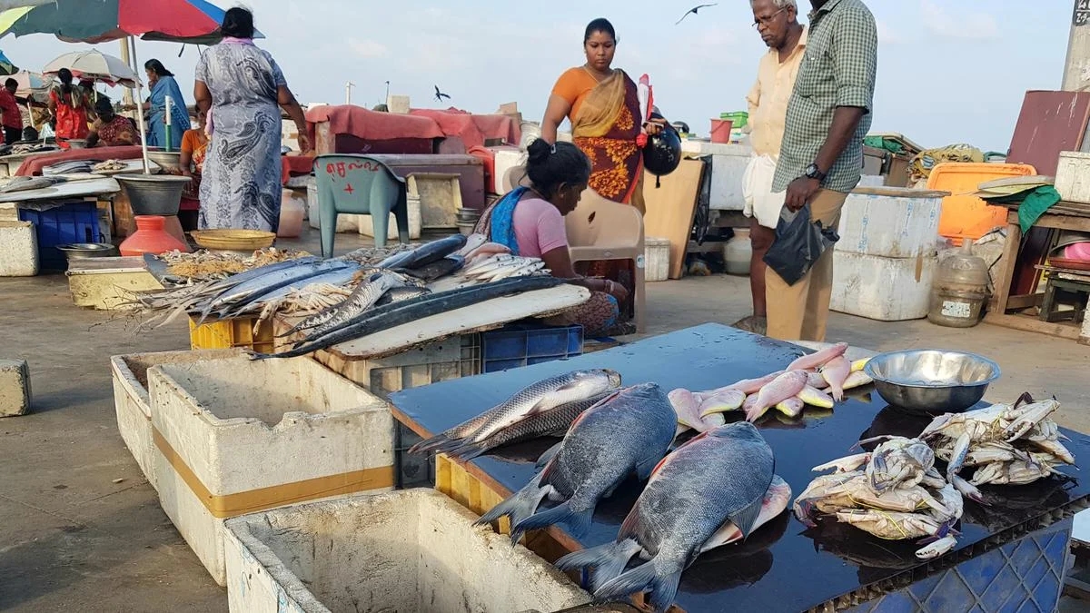 Chaos at Marina fish market: Stalls merged, encroachments rise, vendors cry foul - News Karnataka