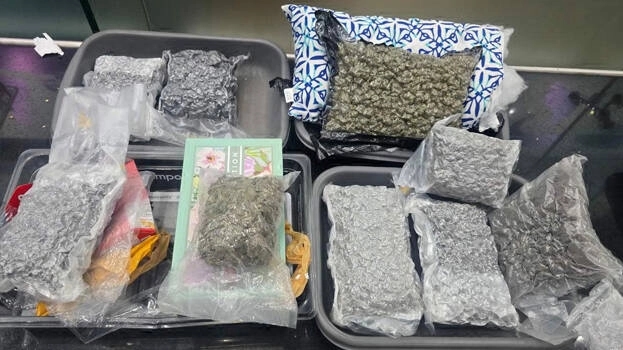 Customs seize 10 kg hybrid cannabis at airport, students held - News Karnataka