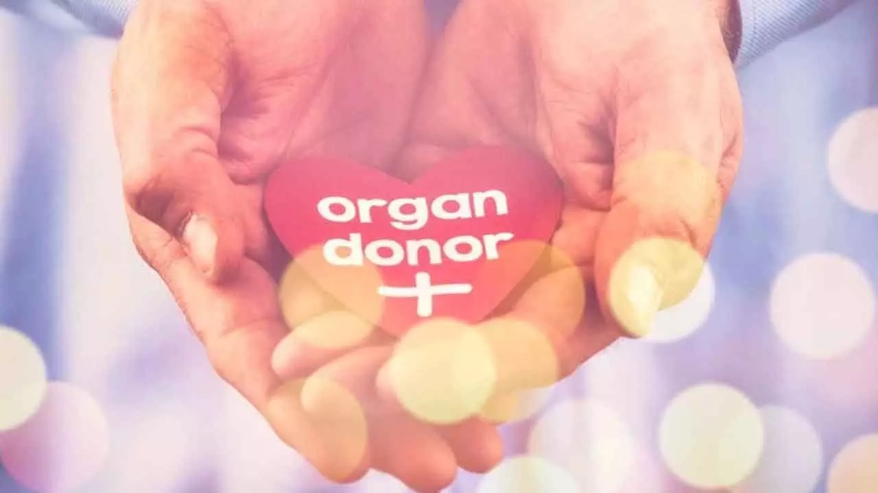 Dharwad and Ballari lead South India in organ donation pledges - News Karnataka