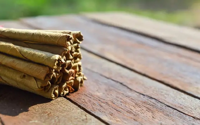 Tragedy in Mangaluru: Infant Dies After Swallowing Discarded Beedi - News Karnataka