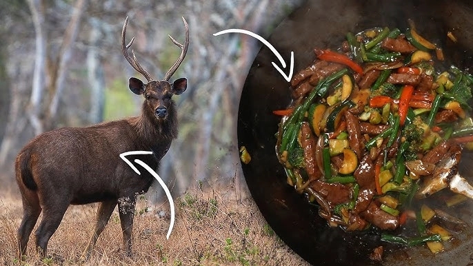 Beef, not venison: Duo wrongfully jailed for ‘sambar deer meat’ to move court - News Karnataka