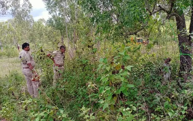 Elderly Couple Found Dead by Suicide in Mandya - News Karnataka