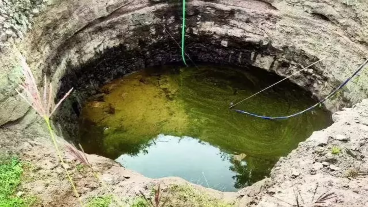 Elusive red subterranean fish reappears in well - News Karnataka