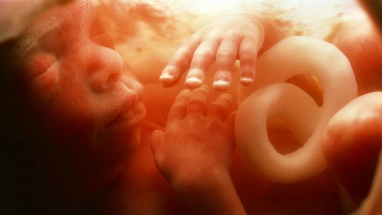 Foetus was male: Postmortem contradicts illegal scan in tragic Tiruvannamalai case - News Karnataka