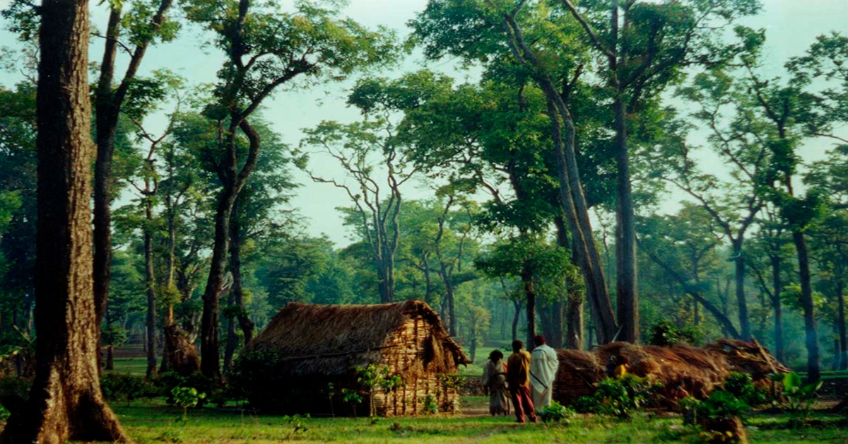 Forest rights cell launched in Kodagu to reassess tribal land claims - News Karnataka