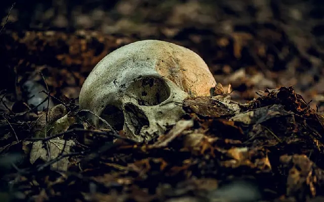 Human Skeleton Found in Bengaluru Apartment Pit Triggers Panic - News Karnataka