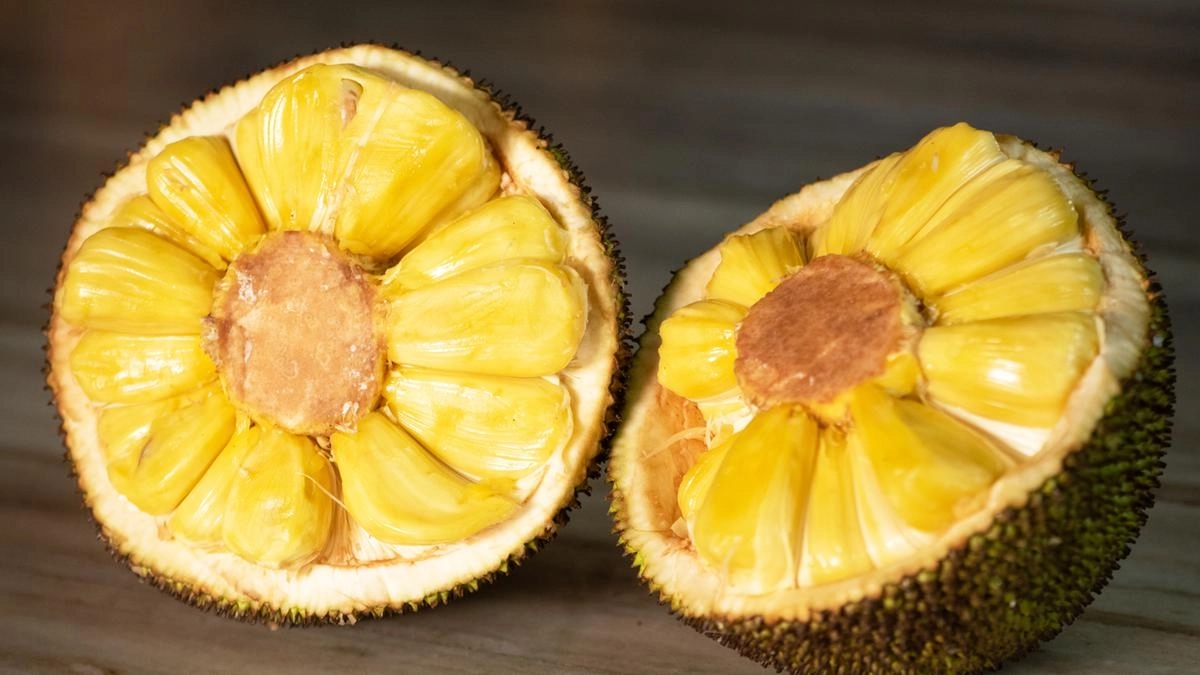 Jackfruit gold rush turns Chikkaballapur into a seasonal sensation - News Karnataka