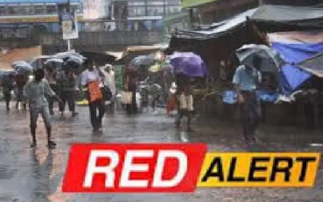 Kodagu Lashed by Heavy Rains; Schools, Colleges Shut Amid Red Alert - News Karnataka