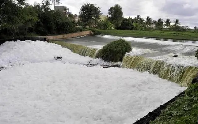 Why Bengaluru Still Breathes Through Its Lakes: A Love Story Rooted in History - News Karnataka