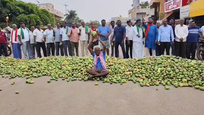 Mango growers’ bandh brings Srinivaspur to a standstill over price crash crisis - News Karnataka