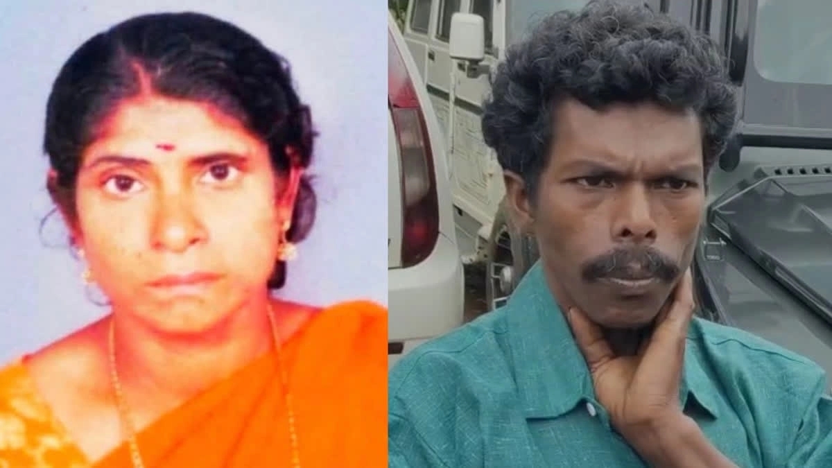 Murder in the forest: Seeta’s death not caused by elephant, confirms autopsy - News Karnataka