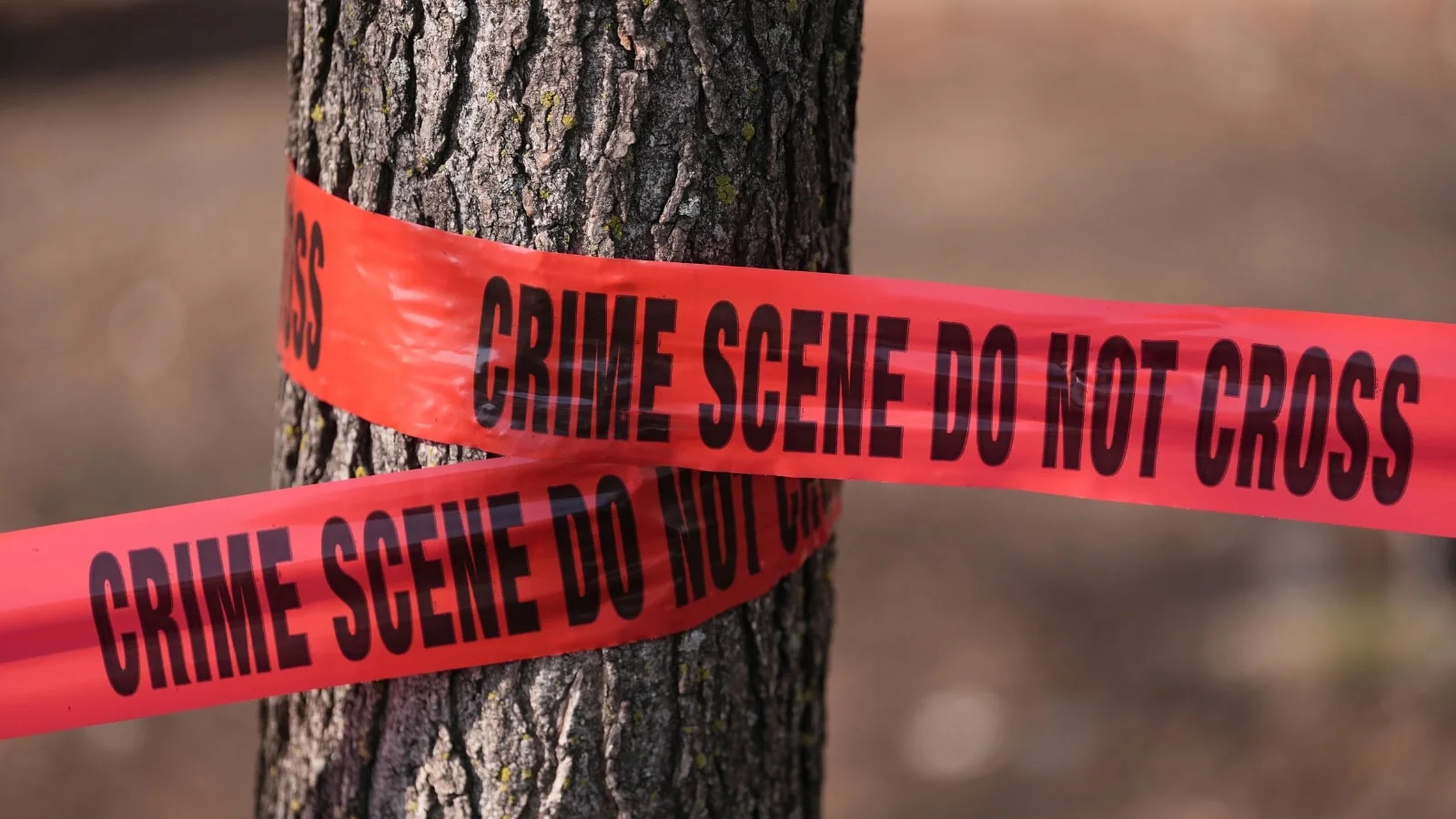NHRC steps in after woman tied to tree and beaten by moneylender in Andhra Pradesh - News Karnataka