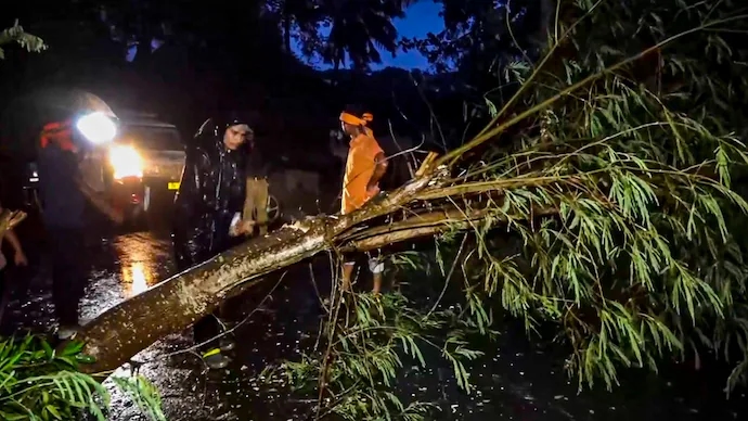 Nilgiris sees over 100 tree falls amid unusual May rains, raising safety concerns - News Karnataka