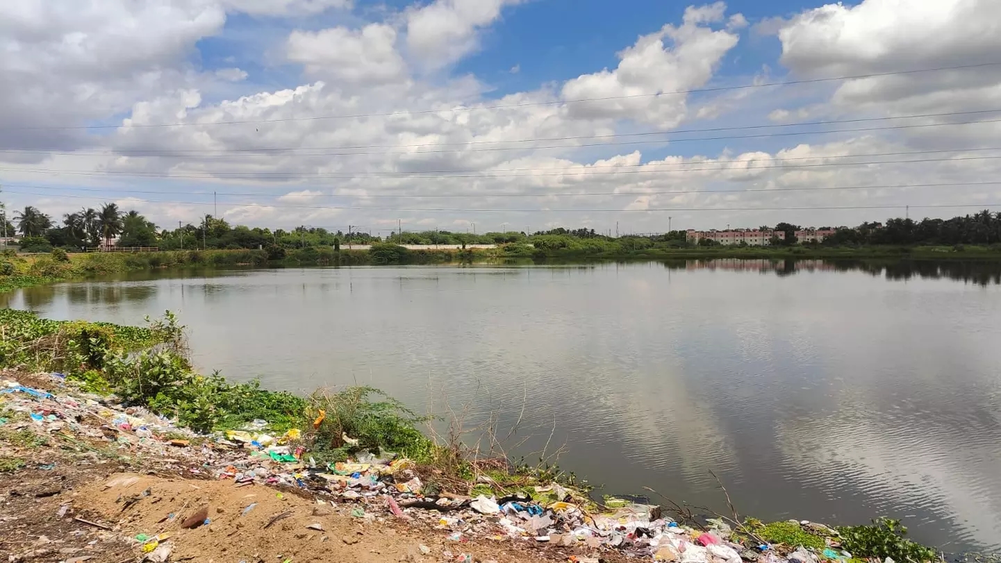 Over 600 hectares of water bodies encroached in Tiruvallur, NGT told - News Karnataka