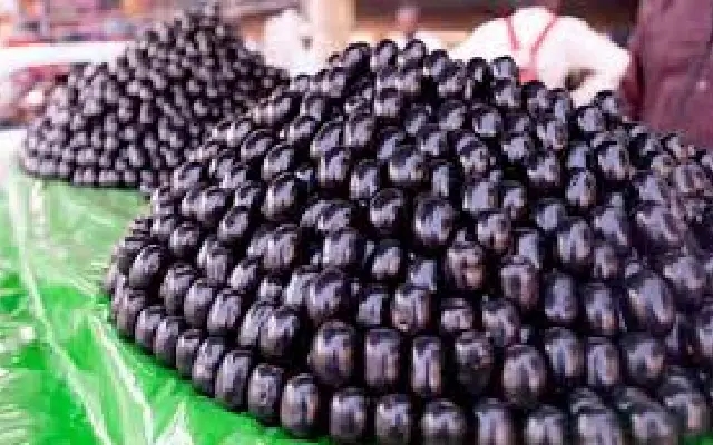 Pickup Carrying Jamun Overturns Near Mangaluru; Locals Rush to Collect Spilled Fruit - News Karnataka
