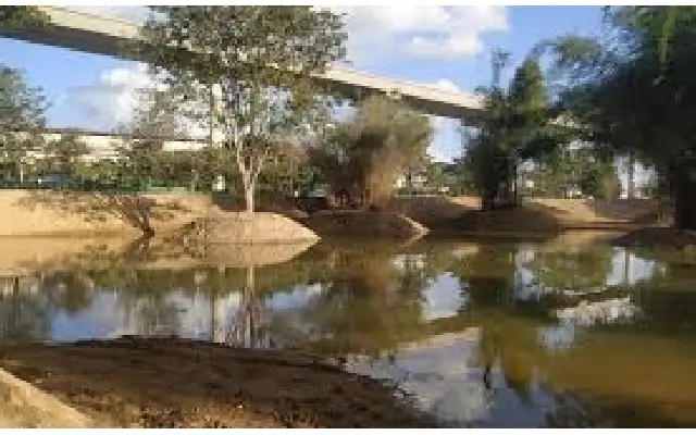Reborn Through Resolve: Bengaluru Locals Reclaim Forgotten Lake - News Karnataka