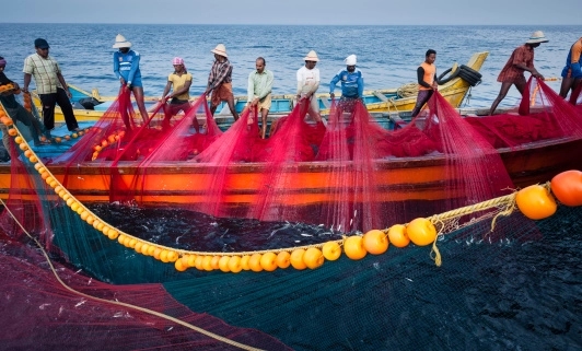 Sea of surprises: Fishermen net over 800 coconuts off Kannur coast - News Karnataka