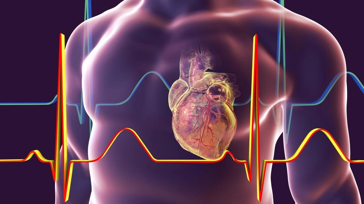 Spike in heart attacks among Hassan youth sparks urgent health push - News Karnataka