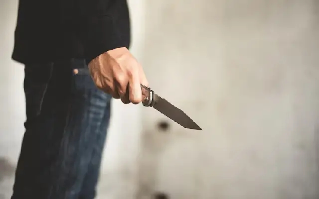 Midnight Sword Attack in Udupi: Man Injured While Asleep, Attacker Arrested - News Karnataka