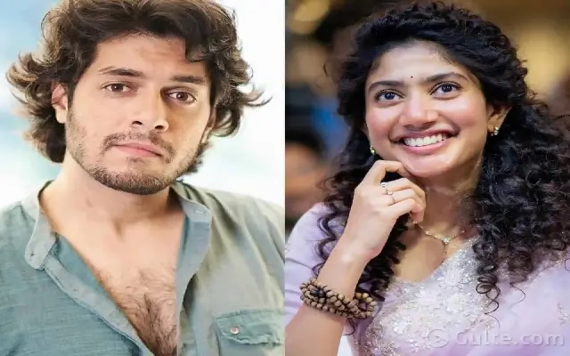 Sai Pallavi Set to Carry Zunaid Khan’s Next Film on Her Shoulders - News Karnataka