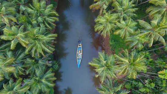 Why kerala’s monsoon is the best-kept travel secret - News Karnataka