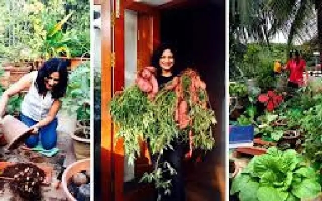 Bengaluru Woman’s 500-Plant Garden Thrives Despite Unpredictable Weather - News Karnataka