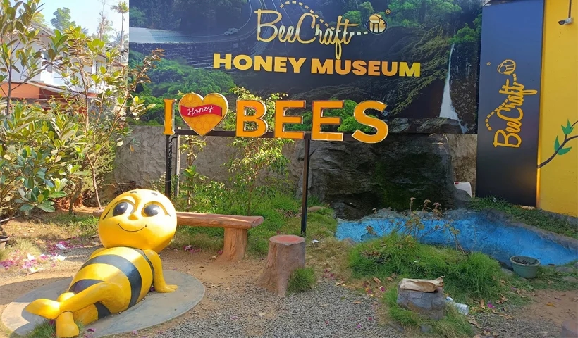 Buzzing with pride: Kerala’s Kallinmel centre to launch Honey Bee Museum - News Karnataka