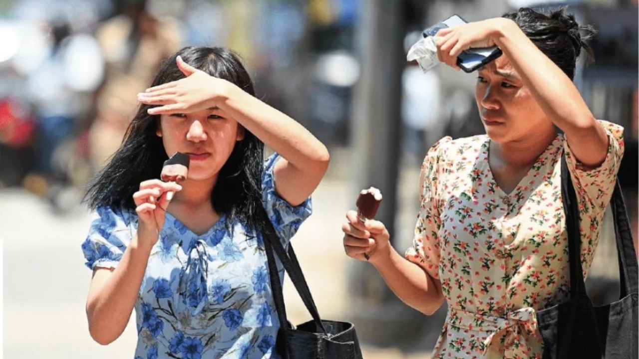 Chennai’s rising heat isn’t just the sun — it’s an urban ecological crisis - News Karnataka