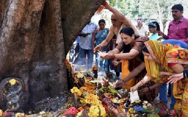 Coastal Karnataka readies for Naaga Panchami Festival of Snakes - News Karnataka